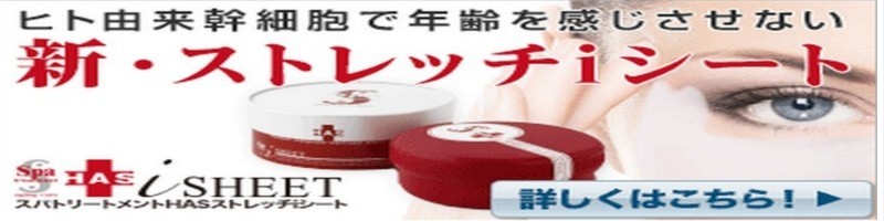 10���˔j�I�I���̖ڌ��̏����V�[�g���O���[�h�A�b�v ���T�C�g